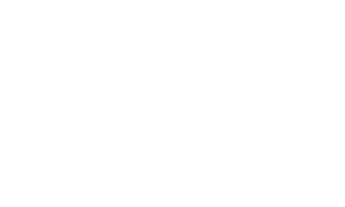 03_MS