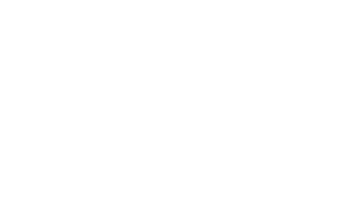 Logotipo de Southeastern Grocers